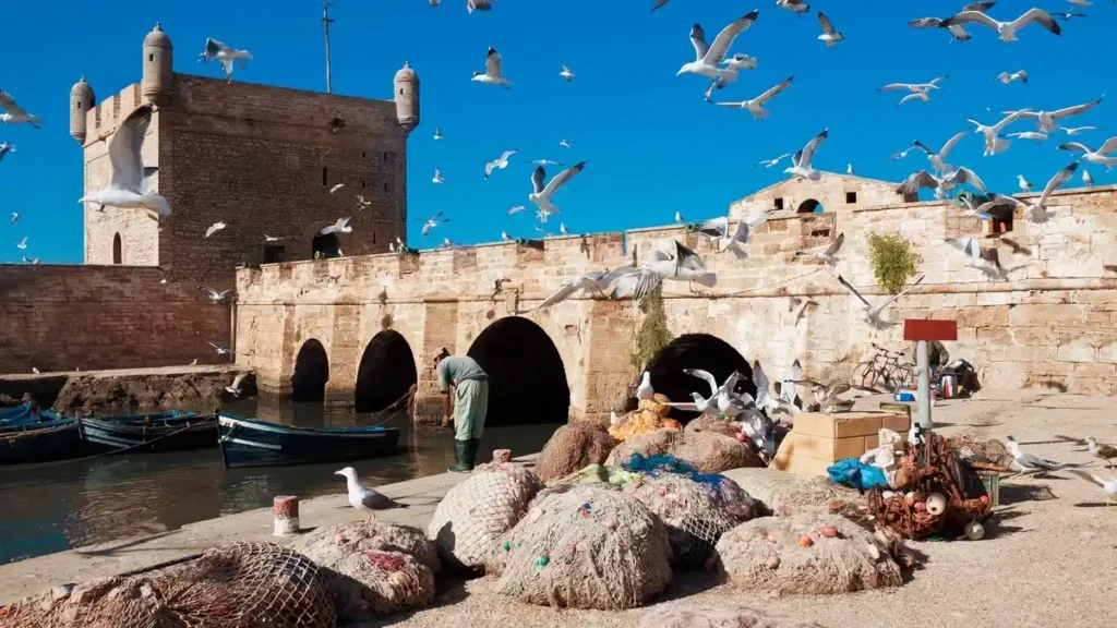 Essaouira What To Do: The Complete Activity Guide 2026 3 Essaouira What To Do: The Complete Activity Guide 2026