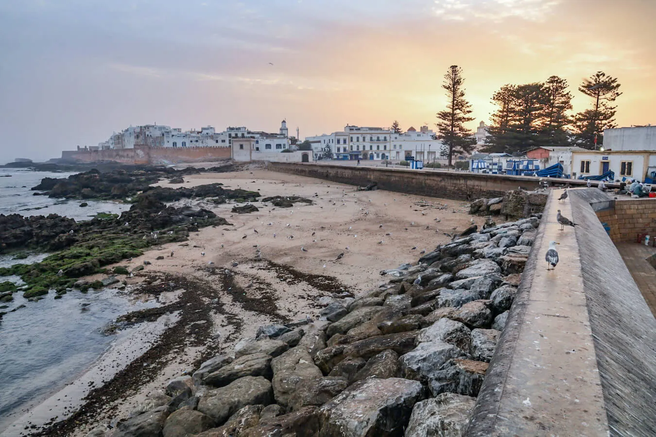 Riad in Essaouira: The Complete Guide to Finding Your Perfect Stay 2026