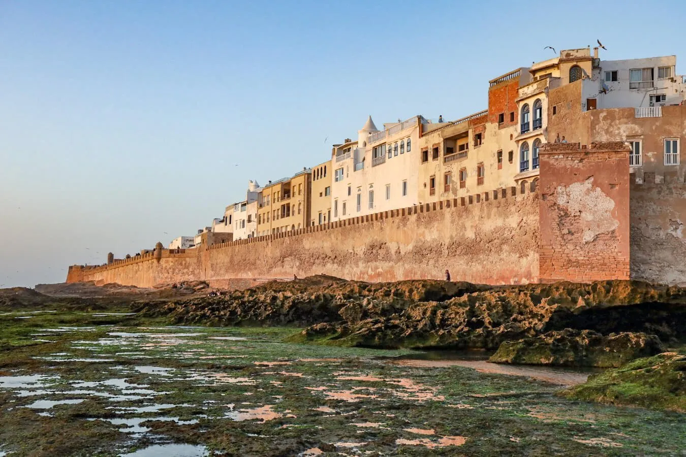 From Marrakech to Essaouira: The Complete Road Trip Guide 2026