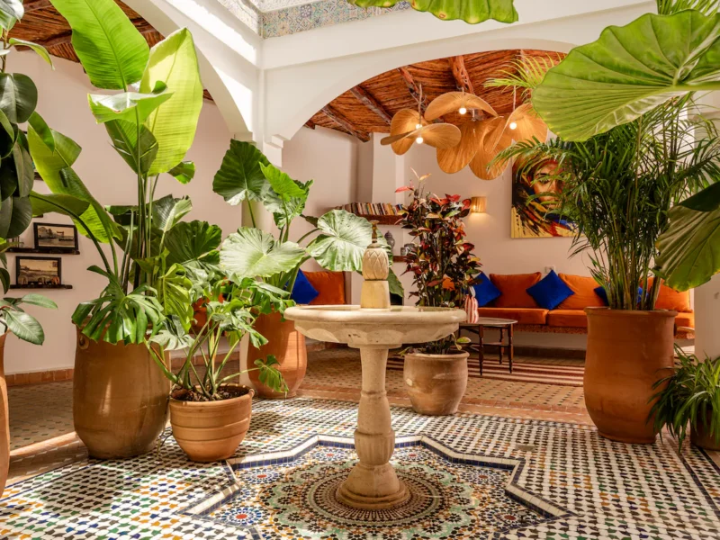 Morocco Travel Guide: The Complete Insider Guide to an Extraordinary Kingdom 2026